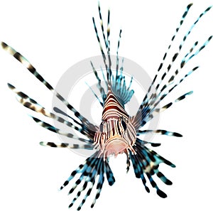 Watercolor painting of a cute lionfish (Pterois). AI-Generated. photo