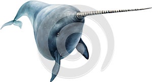 Watercolor painting of a cute Narwhal (Monodon monoceros). AI-Generated.