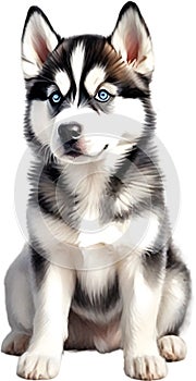 Watercolor painting of a cute Siberian Husky dog. AI-Generated.