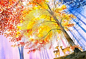 Watercolor Painting - Deer in Autumn Forest