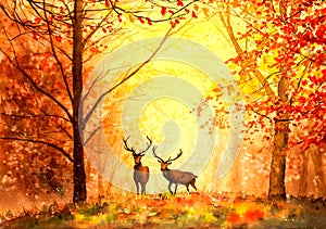 Watercolor Painting - Deer in forests