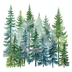 A Row of Pine Trees Watercolor