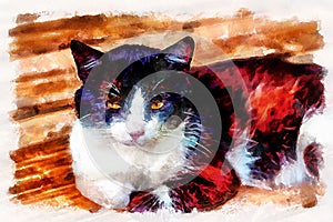 Watercolor painting - domestic cat. Modern digital art, imitation of hand painted with aquarells dye