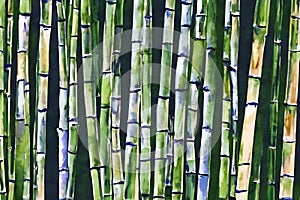 Watercolor painting of exotic bamboo trees pattern and background