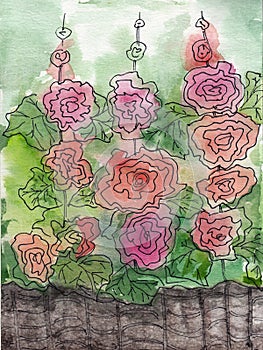 Watercolor painting of floral mallows design