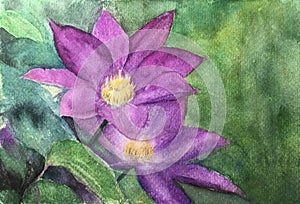 Watercolor Painting of Flowers