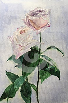 Watercolor Painting of Flowers