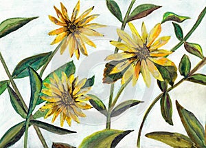 Watercolor painting flowers