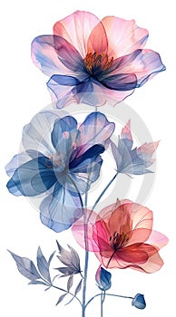 Watercolor Painting of Flowers, isolated on White Background. AI generated Illustration