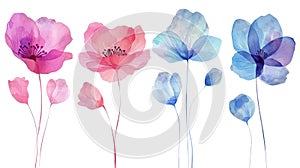 Watercolor Painting of Flowers, isolated on White Background. AI generated Illustration