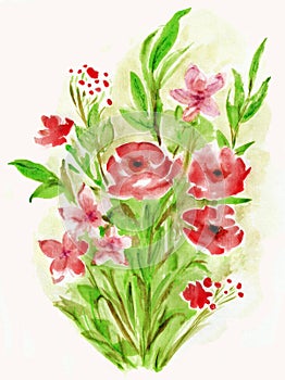 Watercolor painting flowers poppies