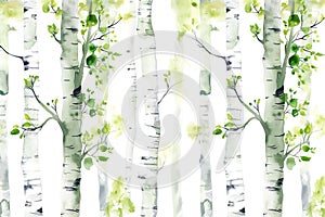 Watercolor painting forest landscape of birch trees in spring. Generative AI