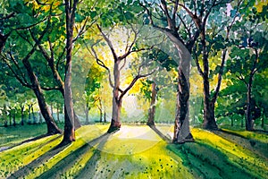 Watercolor Painting - Forests