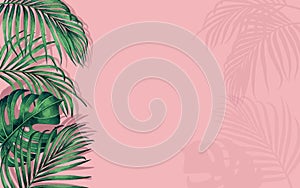Watercolor painting frame coconut leaves monstera,palm,green leaf on pink background.Watercolor hand drawn illustration tropical e