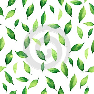 Watercolor painting fresh falling leaf,green leaves seamless pattern background.Watercolor hand drawn illustration tropical exotic