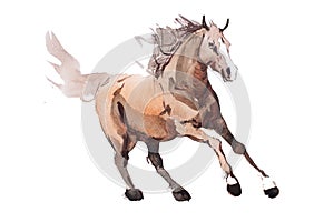 Watercolor painting of galloping horse, free running mustang aquarelle