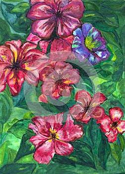 Watercolor painting garden flowers