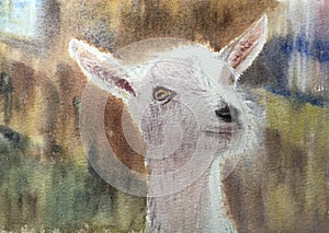 watercolor painting of goat