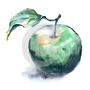 Acquerello il dipinto da verde mela 