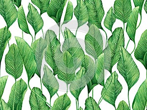 Watercolor painting green leaves seamless pattern on white background.Watercolor hand drawn illustration tropical exotic leaf prin