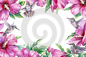 Floral Frame with Humming Birds and Pink Flower photo