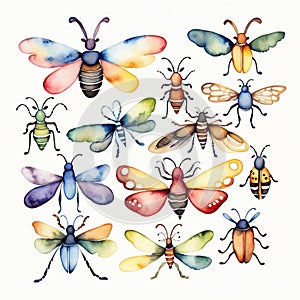 Watercolor painting of insects