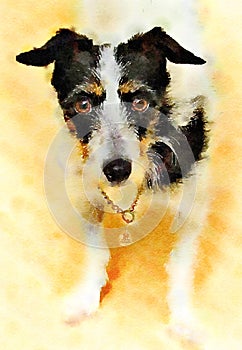 Watercolor painting of Jack Russell Terrier dog. Vertical.