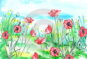 Watercolor painting, landscape of bright green grass, red poppy steppe,green, yellow flowers, plants, field, meadow against a blue