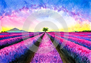 Watercolor Painting - Lavender Field with galaxy sky