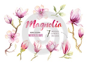 Watercolor Painting Magnolia blossom flower wallpaper decoration