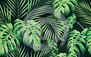 Watercolor painting monstera,coconut leaves seamless pattern on dark background.Watercolor hand drawn illustration tropical exotic photo