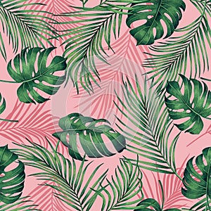 Watercolor painting monstera,coconut leaves seamless pattern with shadow on pink background.Watercolor llustration palm,pink leaf, photo