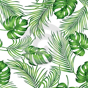 Watercolor painting monstera,coconut leaves seamless pattern with shadow on white background.Watercolor llustration palm,pink leaf photo