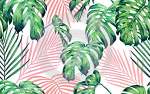 Watercolor painting monstera,coconut leaves seamless pattern on white background.Watercolor hand drawn illustration tropical exoti