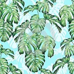 Watercolor painting monstera leaves seamless pattern on blue background.Watercolor hand drawn illustration tropical exotic leaf pr