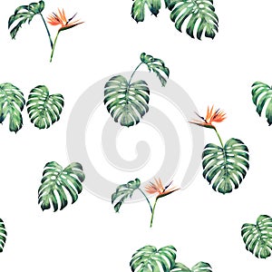 Watercolor painting monstera leaves seamless pattern on blue background.Watercolor hand drawn illustration tropical exotic leaf pr