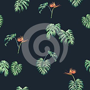 Watercolor painting monstera leaves seamless pattern on blue background.Watercolor hand drawn illustration tropical exotic leaf pr