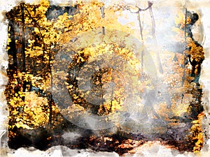 Watercolor painting of morning sun shining though a clearing in autumn forest with sunlight shining on bright autumn woodland