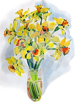 Watercolor painting narcissus flowers