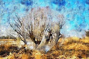 Watercolor painting of old Willow tree on Havel river in Havelland Germany. Autumn time