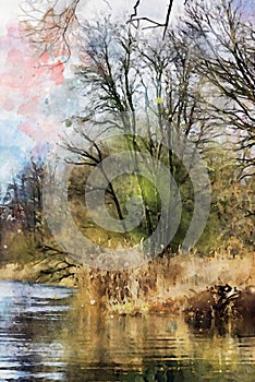 Watercolor painting of old Willow tree on Havel river in Havelland Germany. Autumn time