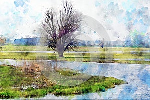 Watercolor painting of old Willow tree on Havel river in Havelland Germany. Autumn time