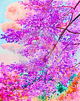 Watercolor painting original landscape colorful of himalayan cherry flowers.