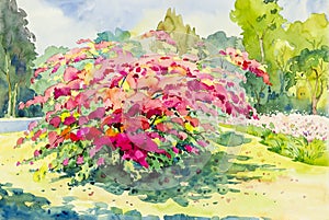 Watercolor painting original landscape pink,red of paper flowers