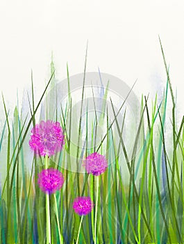 Watercolor painting pink chive flower over green leaf background