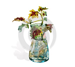 Watercolor painting of a plant in a glass jar