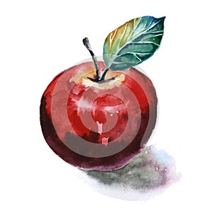 Watercolor painting of red apple