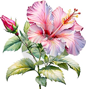 Watercolor painting of Rose of Sharon flower. AI-Generated. photo