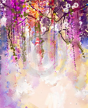 Watercolor painting. Spring purple flowers Wisteria