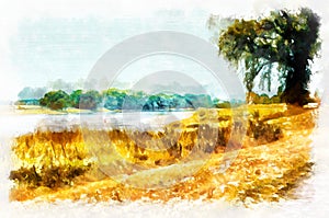 Watercolor painting - suburban landscape in bright sunny day. Modern digital art, imitation of hand painted with aquarells dye